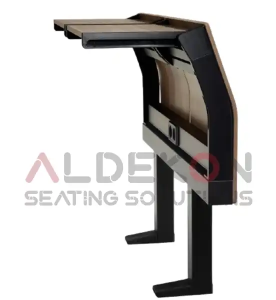 Lahore-amfi-sirasi-09