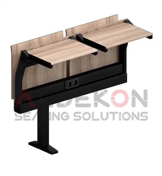 Lahore-amfi-sirasi-11