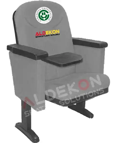 houston-konferans-sinema-koltugu-05