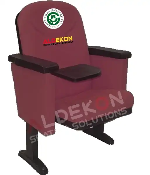 houston-konferans-sinema-koltugu-07