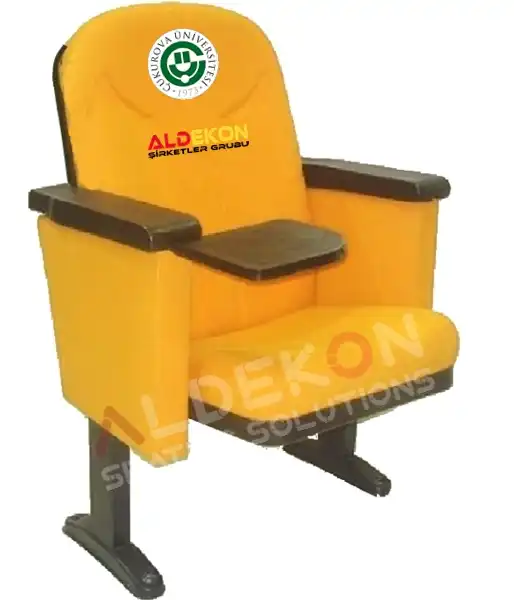 houston-konferans-sinema-koltugu-09