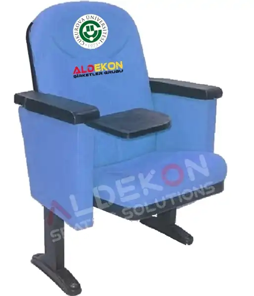 houston-konferans-sinema-koltugu-10