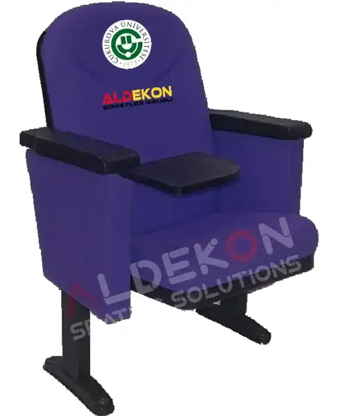 houston-konferans-sinema-koltugu-15