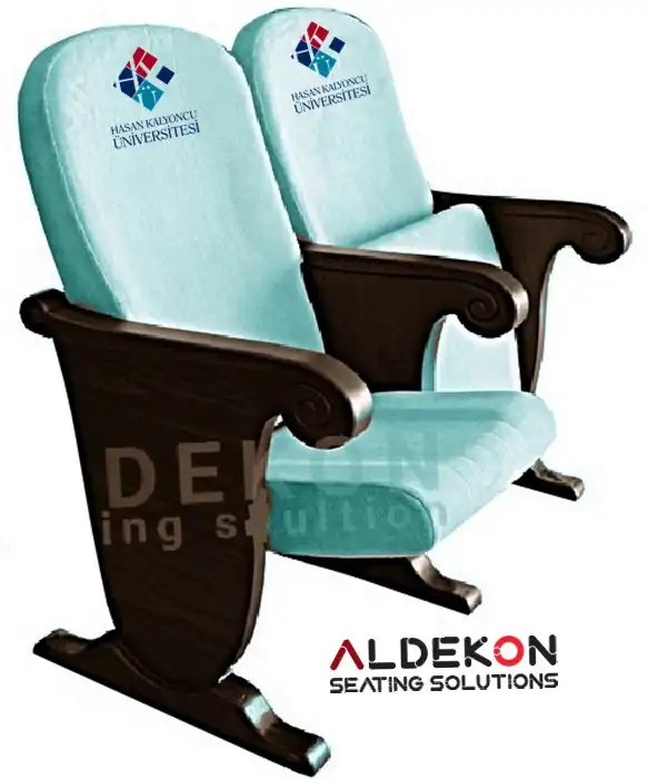 ruther-konferans-sinema-koltugu-55