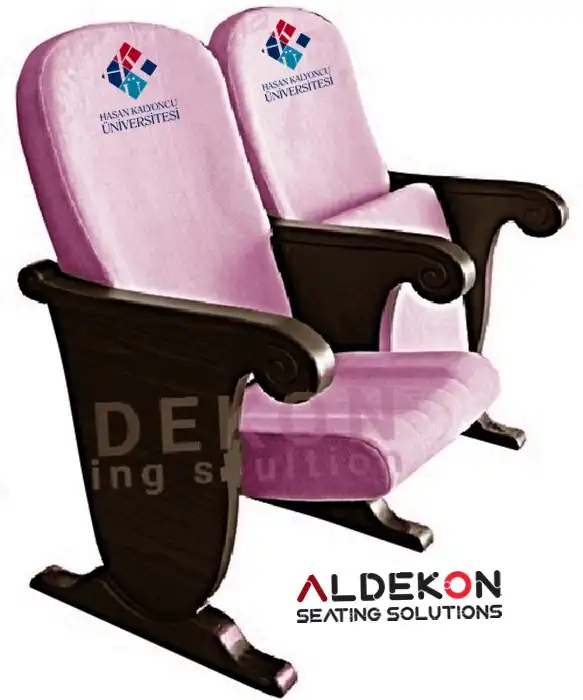 ruther-konferans-sinema-koltugu-57