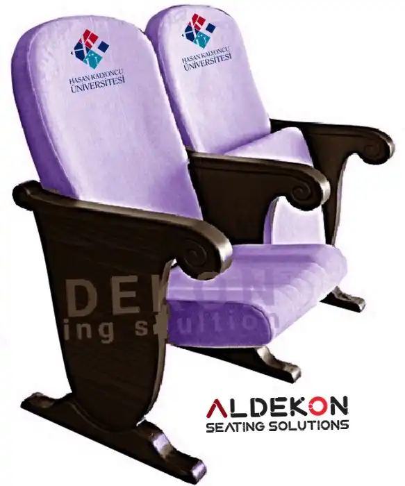 ruther-konferans-sinema-koltugu-59