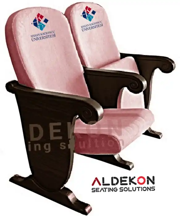 ruther-konferans-sinema-koltugu-60