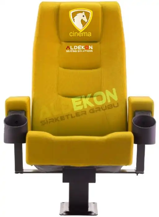 toledo-konferans-sinema-koltugu-53