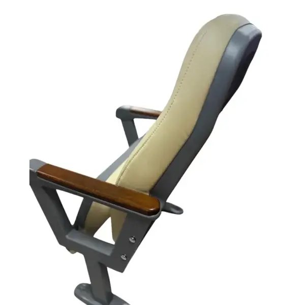 zambia-konferans-koltugu-3